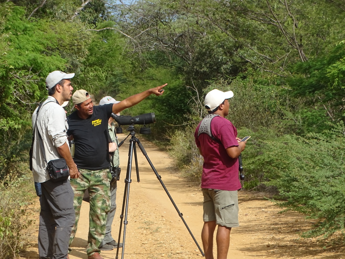 Una conversación sobre Guajira Birding Travel con Chris Bell